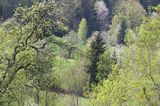 Wiosna, Bieszczady