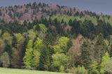 Wiosna, Bieszczady, wiosenna mozaika kolorów