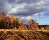 Mazowsze, Mazowiecki Park Krajobrazowy