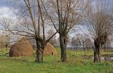 Mazowieki Park Krajobrazowy, Mazowsze Polska