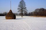 Mazowiecki Park Krajobrazowy, stóg siana i tropy na śniegu