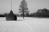 Mazowiecki Park Krajobrazowy, stóg siana i tropy na śniegu