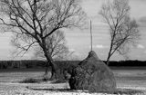 Kampinoski Park Narodowy, stóg siana