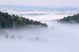 Besida i żuków we mgle, widok ze stoku Jaworników, Bieszczady
