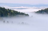 Besida i żuków we mgle, widok ze stoku Jaworników, Góry Sanocko-Turczańskie