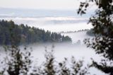 Besida i żuków we mgle, widok ze stoku Jaworników, Góry Sanocko-Turczańskie