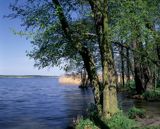 Jezioro Miedwie Pomorze Zachodnie