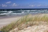 plaża na Mierzei Kurońskiej, Neringa, Litwa beach, Curonian Spit, Neringa, Lithuania