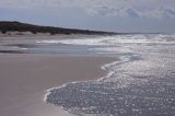 plaża na Mierzei Kurońskiej, Neringa, Litwa beach, Curonian Spit, Neringa, Lithuania