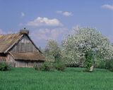 na wsi Mocarze, Kotlina Biebrzańska