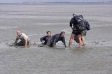 mud walking, wycieczki piesze po osuchach na morzu, Warffumerlaag koło Noordpolderzijl, Fryzja, Waddenzee, Holandia, Morze Wattowe