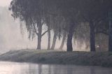 Muritz-Elde wasser strasse, Pojezierze Meklemburskie, Meklemburgia-Pomorze Przednie, Niemcy