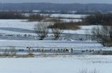 zima nad rzeką Biebrzą Biebrza river in winter