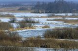 zima nad rzeką Biebrzą Biebrza river in winter