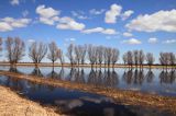 Nad Narwią koło Grądów Woniecko, Podlasie