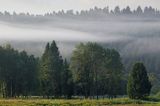 Poranne mgły, Bieszczady