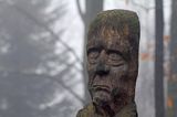rzeźba, las na Otrycie koło Chatki Socjologa, buczyna, Bieszczady