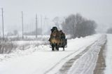 Na Podlasiu, sanie