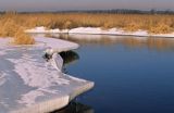 Narew w Rybakach na Podlasiu