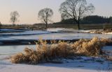 nad Narwią koło Bindziugi, Podlasie