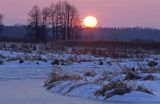 rzeka Narew, Podlasie