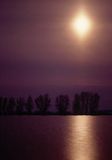 rzeka Narew, wiosenne rozlewiska nocą w smudze światła księżycowego