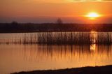 wiosenne rozlewiska rzeki Narwii, Zajki, Podlasie