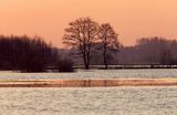 wiosenne rozlewiska rzeki Narwii, Zajki, Podlasie