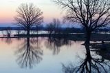 wiosenne rozlewiska rzeki Narwii, Zajki, Podlasie