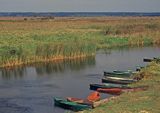 Rzeka Narew, Narwiański Park Narodowy