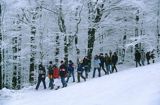 na Szyndzielni, Beskid Śląski