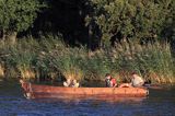 łódka na rzece Niemen, Park Regionalny Delty Niemna, Litwa Nemunas river, Nemunas Delta, Lithuania