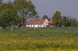 Nowa Wieś Wielka, Warmia