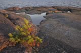 wybrzeże wyspy Nuokot, Zatoka Fińska, Finlandia