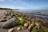 Odden, kamienista plaża, Zelandia, Kattegat, Dania