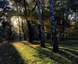 park w Łazienkach Warszawskich, Warszawa