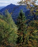 Pieniński Park Narodowy, widok z Czertezika