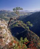 Pieniny, widok z Sokolicy