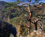 Pieniny, widok na przełom Dunajca z Sokolicy