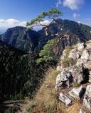 Pieniny, widok z Sokolicy