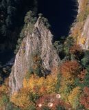 Pieniny, widok z Sokolicy