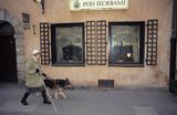 pies przewodnik niewidomego, owczarek niemiecki, ulica Piwna, restauracja Pod Herbami, Warszawa, w drodze do sklepu