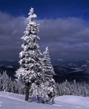 na Hali Miziowej Pilsko Beskid Zywiecki