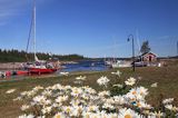 port na wyspie Pite Ronnskar, Archipelag Pitea, Szwecja, Zatoka Botnicka