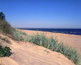 plaża nad Bałtykiem