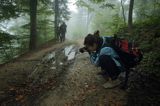 W lesie na Otrycie. Podczas pleneru Bieszczady dniem i nocą,26-28.09.2014