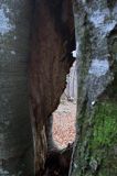 na Otrycie, plener Bieszczady dniem i nocą, 10-12.01.2014