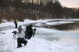 podczas pleneru Bieszczady dniem i nocą, 31.01-2.02.2014