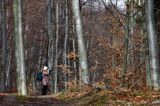 podczas pleneru Bieszczady dniem i nocą, 10-12.01.2014