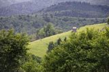 widok, wieś Plesza, Bukowina, Rumunia